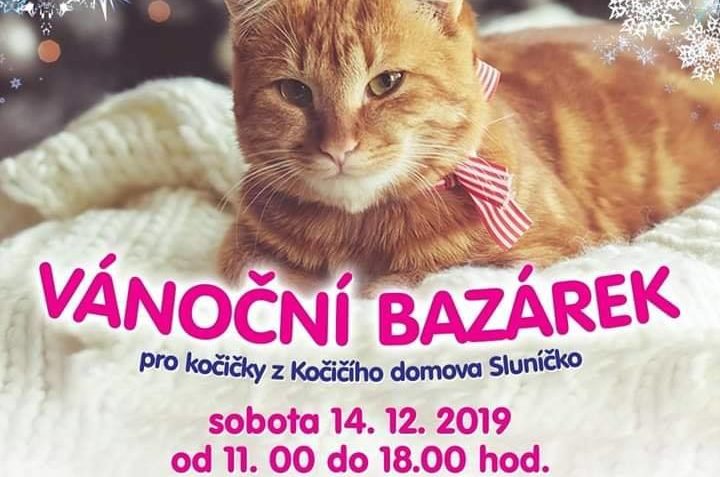 PŘEDVÁNOČNÍ  BAZÁREK V KOČIČÍ KAVÁRNĚ V KLADNĚ...