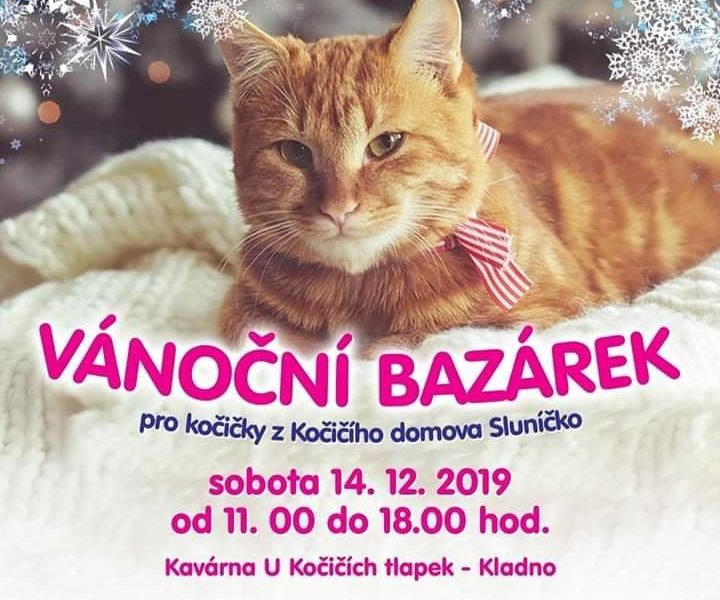 PŘEDVÁNOČNÍ BAZÁREK V KOČIČÍ KAVÁRNĚ V KLADNĚ...