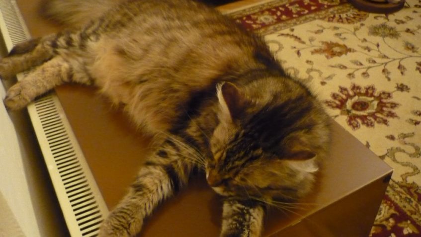 STÁNÍK  ( nyní Bretík)...