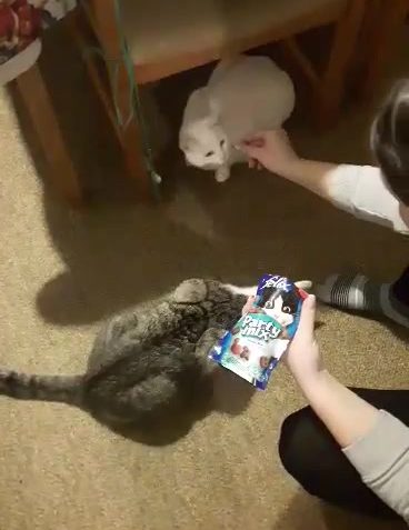 Sledovat Granátek a Betynka