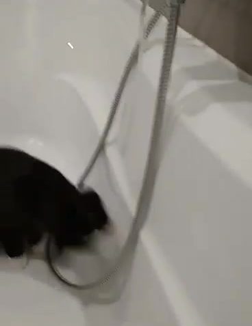 Sledovat KAIRA A MEDA