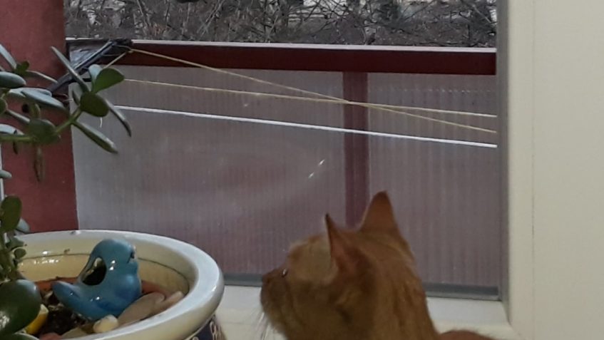 VČELKA ( nyní Eliška)...