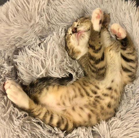 VĚTŘÍK ( nyní Leošek)...