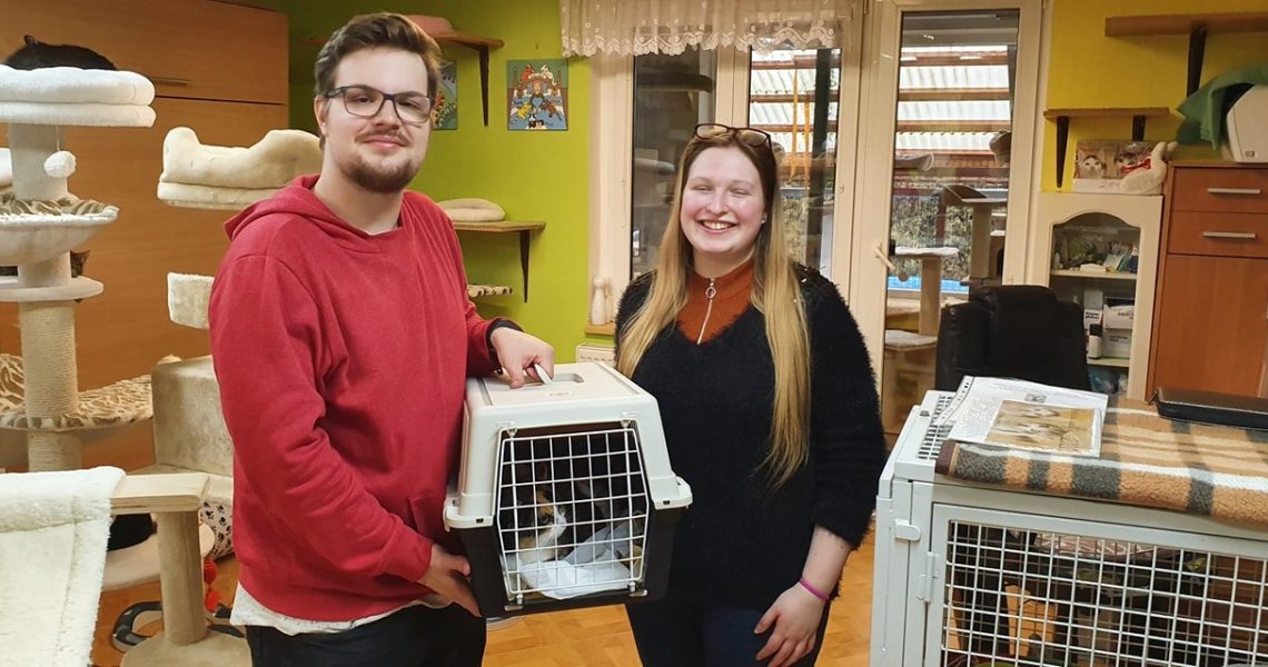 ŠTĚDRÝ DEN  UŽ BUDE DOMA U SVÝCH ADOPTIVNÍCH RODIČŮ TRÁVIT I...