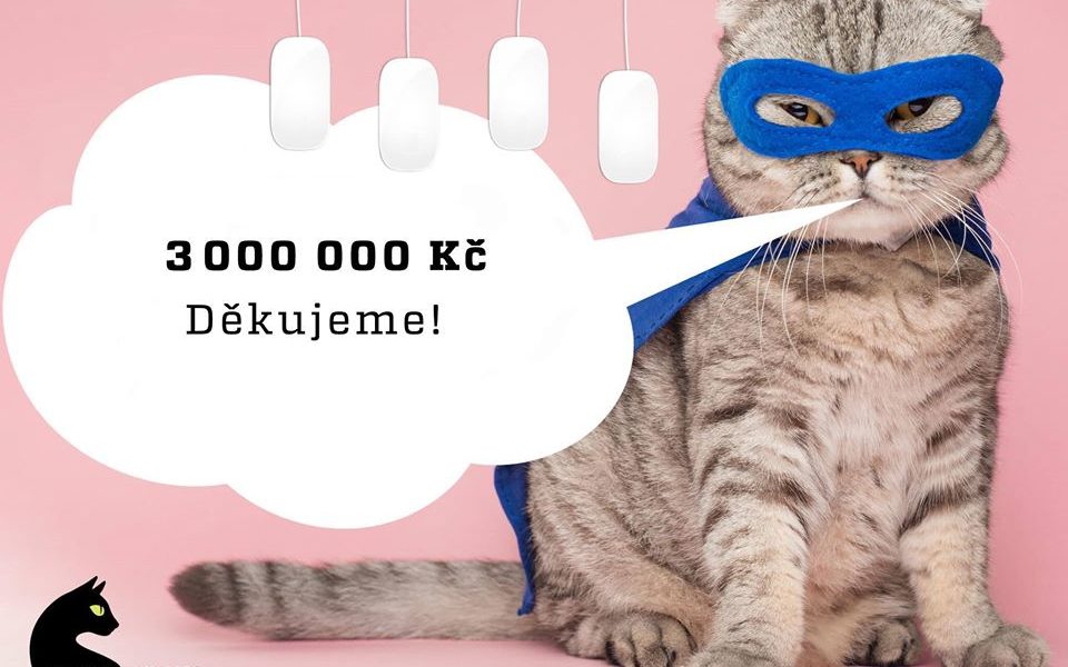 5. 1. 2020 SKONČILO  VÁNOČNÍ PŘÁNÍ 2019Obdarovali jste celke...