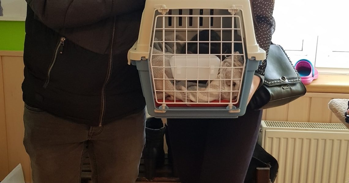 DO NOVÉHO DOMOVA ODJELA MALÁ NOVOROČENKA...