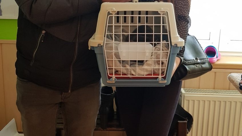 DO NOVÉHO DOMOVA ODJELA MALÁ NOVOROČENKA...