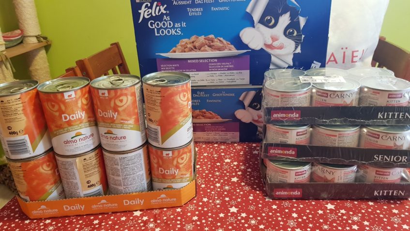 DĚKUJEME VŠEM DÁRCŮM, KTEŘÍ POSLALI SLUNÍČKOVÝM KOČIČKÁM DOB...