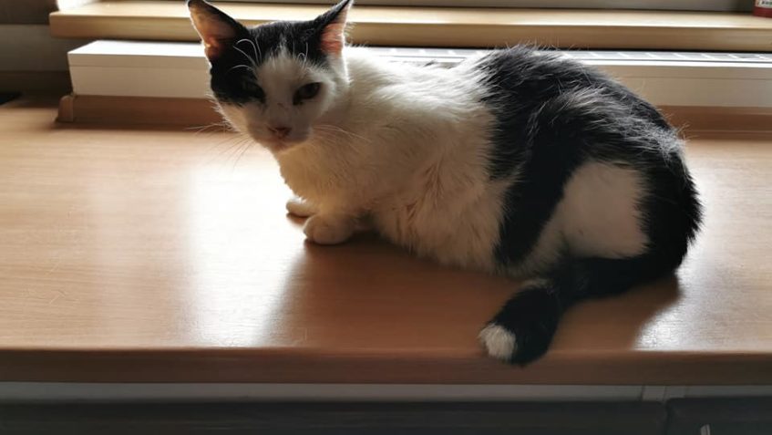 Děkujeme Alici a Tomíčkovi za návštěvu, dárky a velice potře...