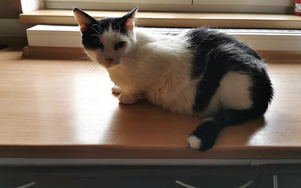 Děkujeme Alici a Tomíčkovi za návštěvu, dárky a velice potře...