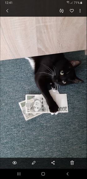 FEŠANDA ( Fíbí)...