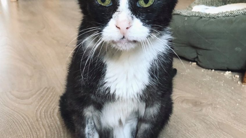 FILÍPEK Z BRÁNÍKA...