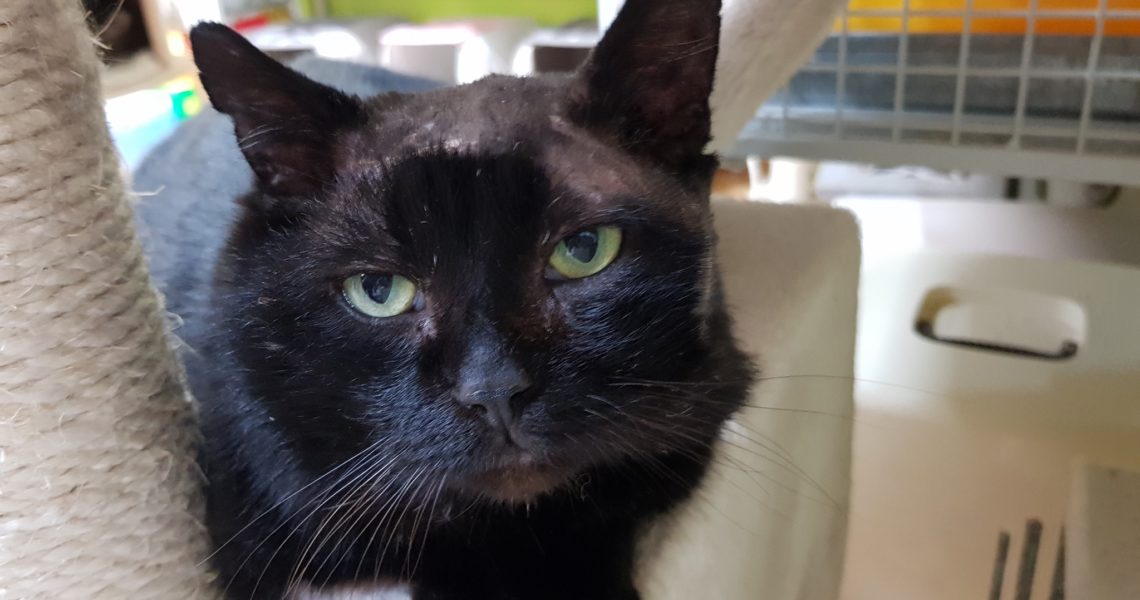 JAMIEČEK UŽ NENÍ BIT MOC BY UŽ POTŘEBOVAL VLASTNÍ DOMOV...