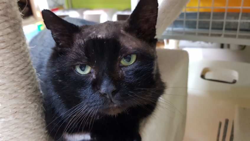 JAMIEČEK UŽ NENÍ BIT MOC BY UŽ POTŘEBOVAL VLASTNÍ DOMOV...