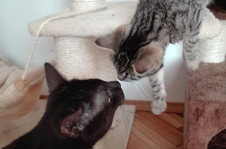 JUDITKA, NOVÁ SÉGRA GARGAMELKA POSÍLÁ POZDRAVY...