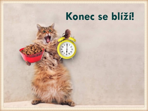 KONEC SE BLÍŽÍJEŠTĚ DO PŮLNOCI MŮŽETE PŘISYPAT DO MISTIČEK...