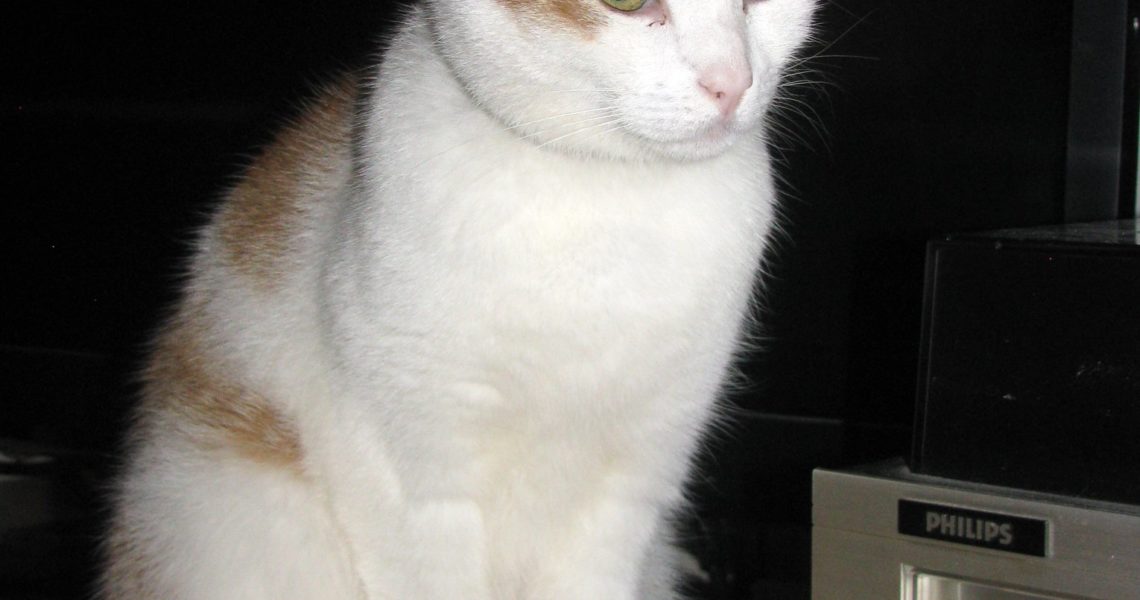 MOC PROSÍME O SDÍLENÍ...