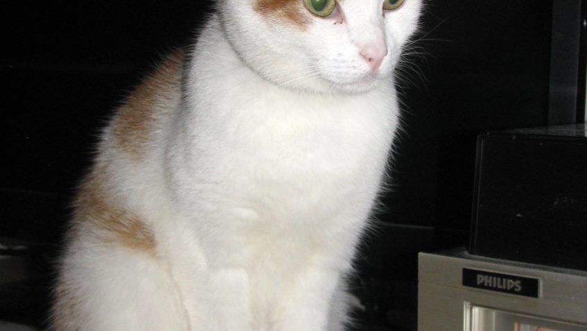 MOC PROSÍME O SDÍLENÍ...