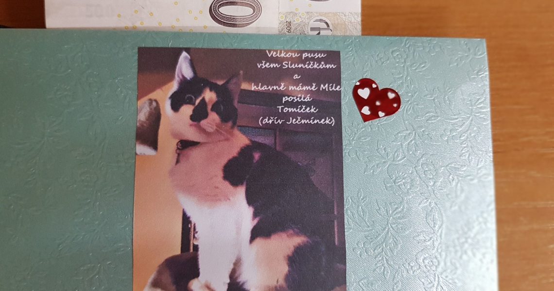 NAŠE SLUNÍČKA DOSTALA DÁREK OD JEČMÍNKA, NYNÍ TOMÍČKA, POSLA...