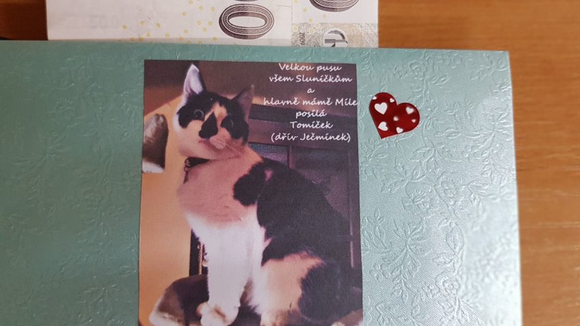 NAŠE SLUNÍČKA DOSTALA DÁREK OD JEČMÍNKA, NYNÍ TOMÍČKA, POSLA...