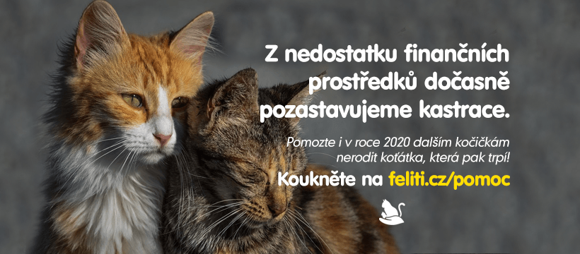 POMOZME, ABY SE PROGRAM ZASE ROZJELS blížícím se jarem více ...