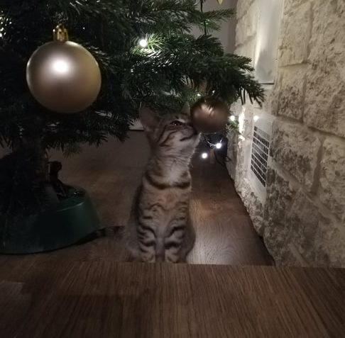 POZDRAV VE SVÉHO SKVĚLÉHO DOMOVA POSÍLÁ SOPRÁNEK...