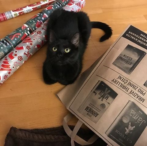 SANELKA A CIBULKA...