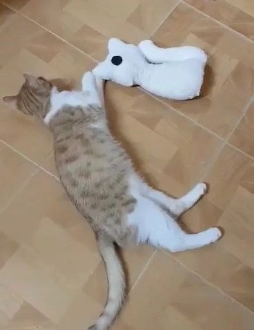 Sledovat POŠŤÁČKŮV NOVÝ KÁMOŠ OD DĚTÍ Z MŠ V DOBŘÍNI