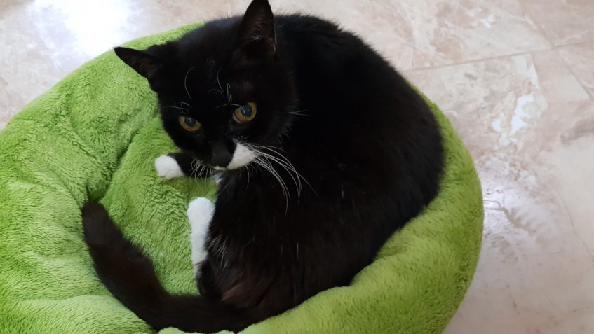 VÝSLEDKY VYŠETŘENÍ DRUŽINKY...