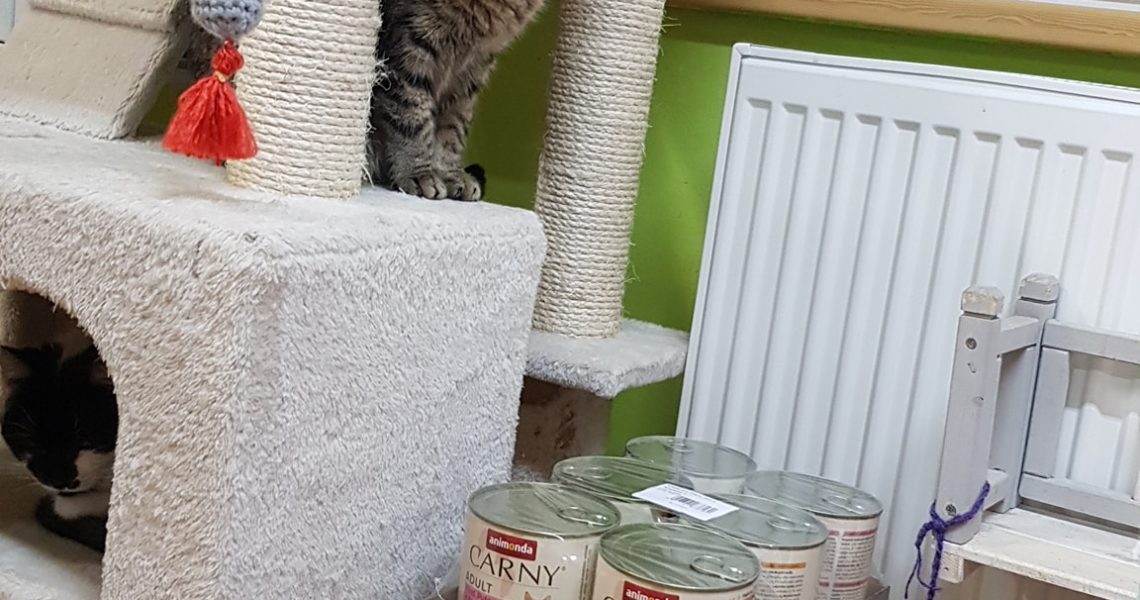 Z CELÉHO SRDCE DĚKUJEME DÁRCŮM Z KOČIČÍHO PŘÁNÍ ZA OBDAROVÁN...