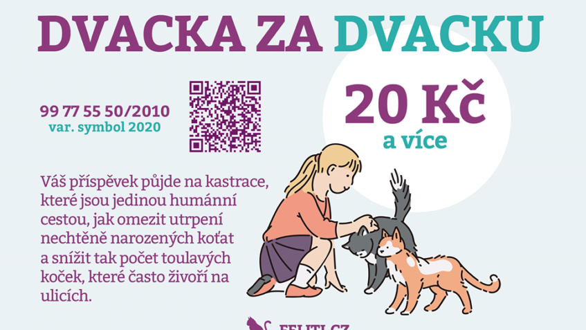 CO JE TO "DVACKA"DVACKA JE SKORO NICKdyž dá dvacku 1000 lidi...