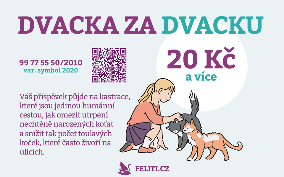 CO JE TO "DVACKA"DVACKA JE SKORO NICKdyž dá dvacku 1000 lidi...