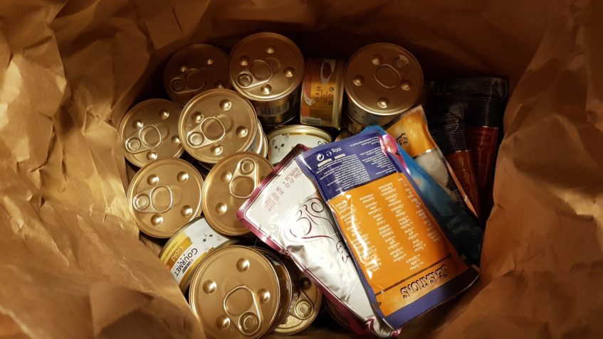 DĚKUJEME ZA DÁRKY PRO NAŠE SLUNÍČKA...