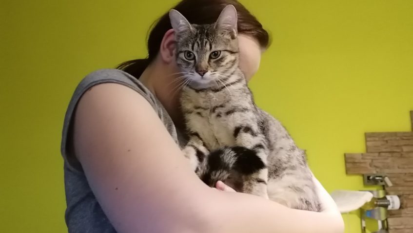 HYACINT (nyní Čiko)...