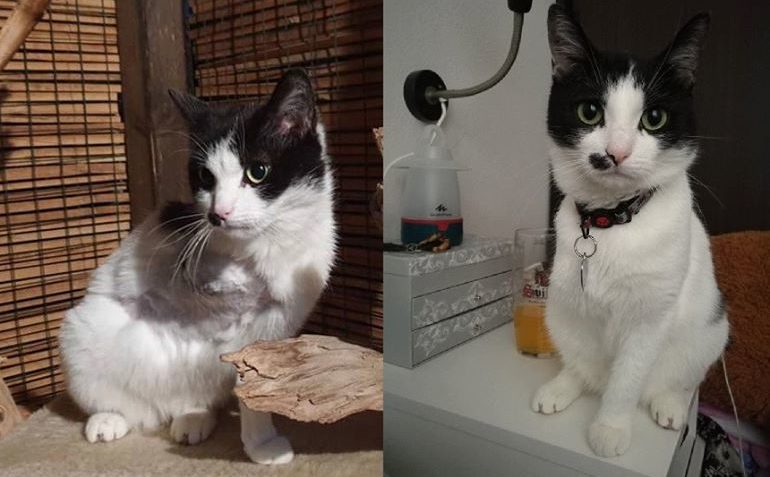 JOHANKA ( Sušenka)...