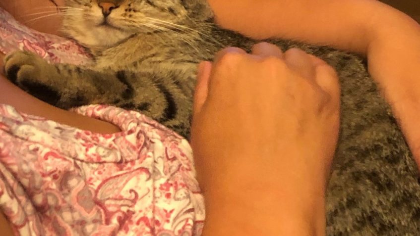 MANDLIČKA (Murka)...