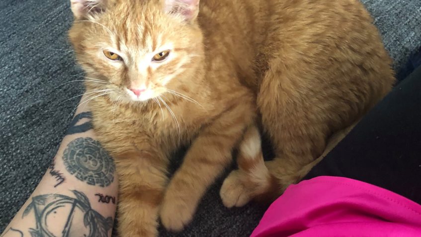 RIKI- (nyní Eddie)...