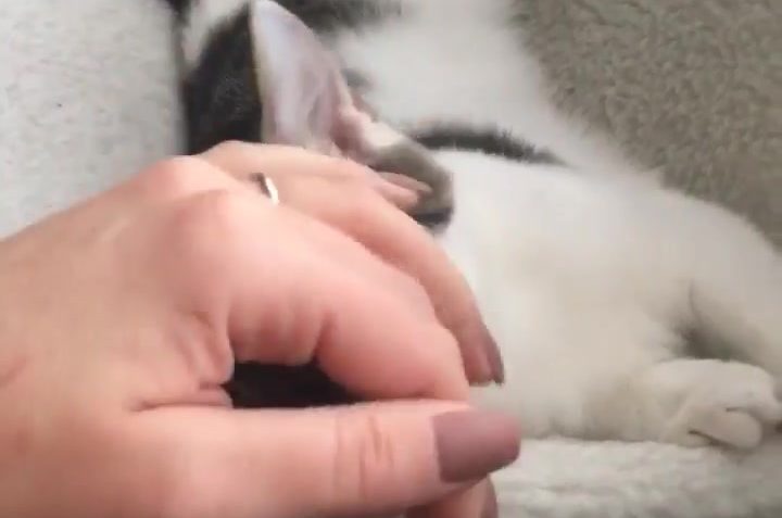 Sledovat video-1580243126