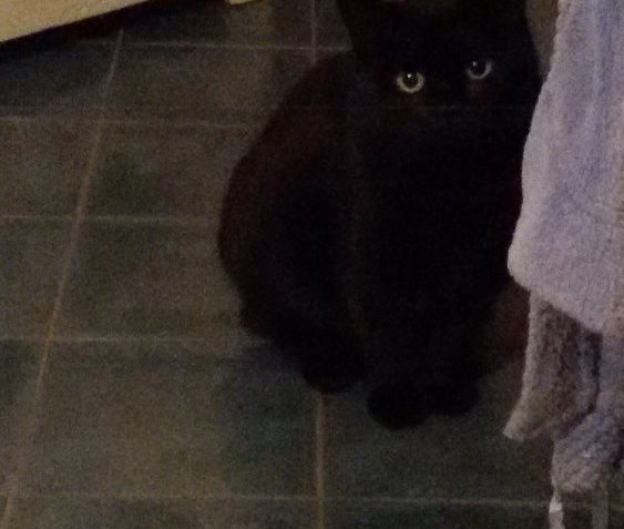 TEODORKA ( Dorka)...