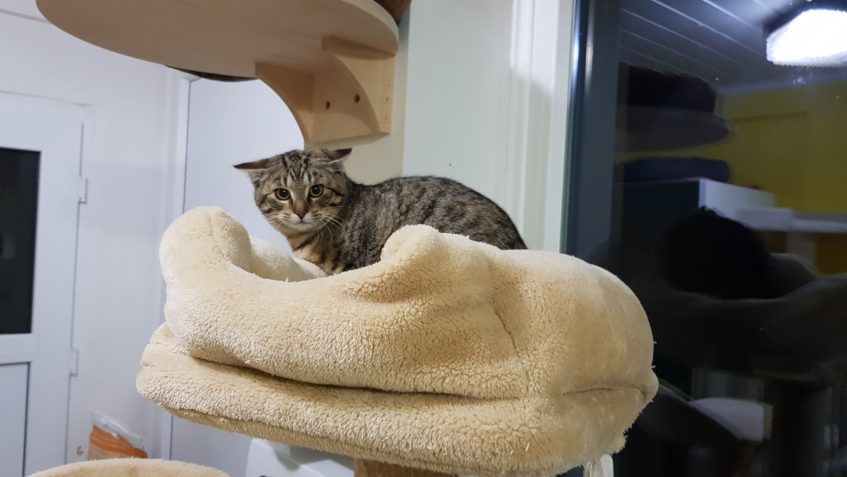 ZPRAVODAJSTVÍ DO 27.2.2020...