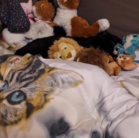 ČMOUDÍK ( nyní Ritchi)...