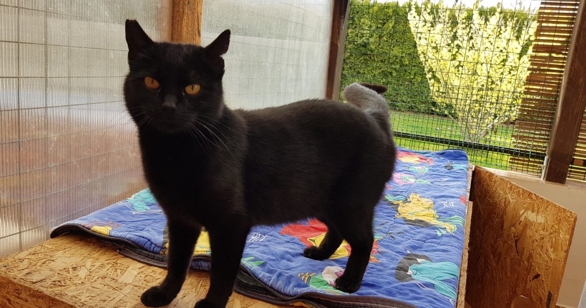 HOLČIČKY - ČERNÁ ELEONORA A KOUŘOVÁ VALERIE ČEKAJÍ NA BEZVA ...