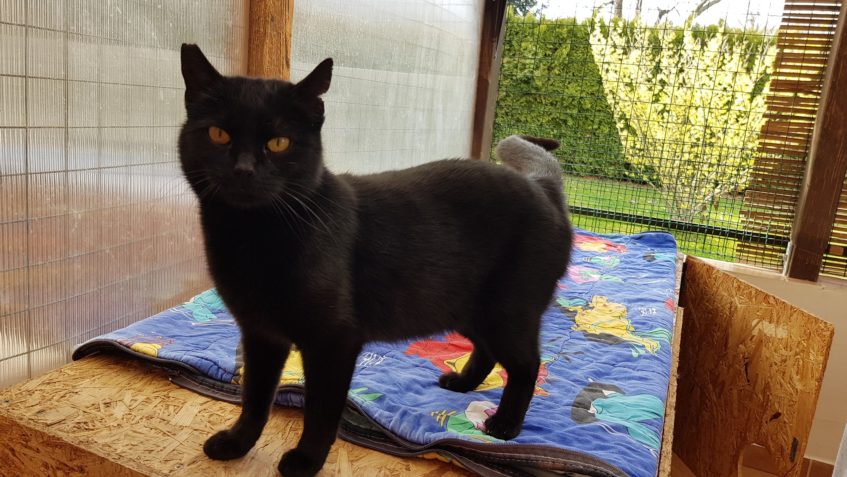 HOLČIČKY - ČERNÁ ELEONORA A KOUŘOVÁ VALERIE ČEKAJÍ NA BEZVA ...