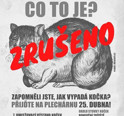 Milí přátelé útulkových koček,...