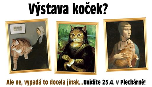 Na akci se potkáte s kočičími poklady z těchto organizací......