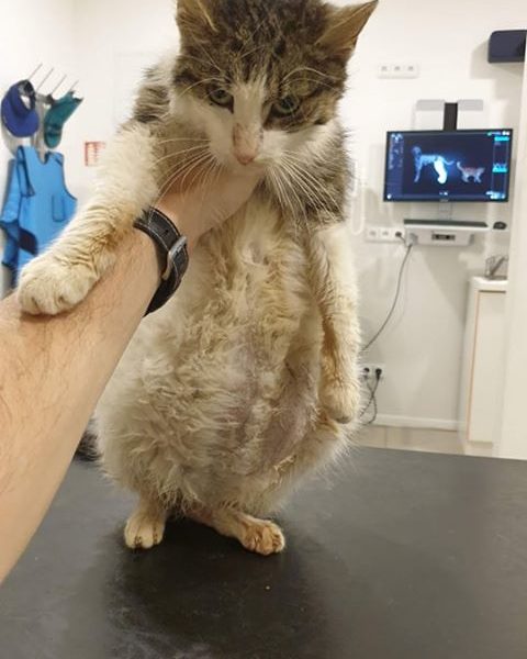 OPAKOVANĚ VARUJEME...