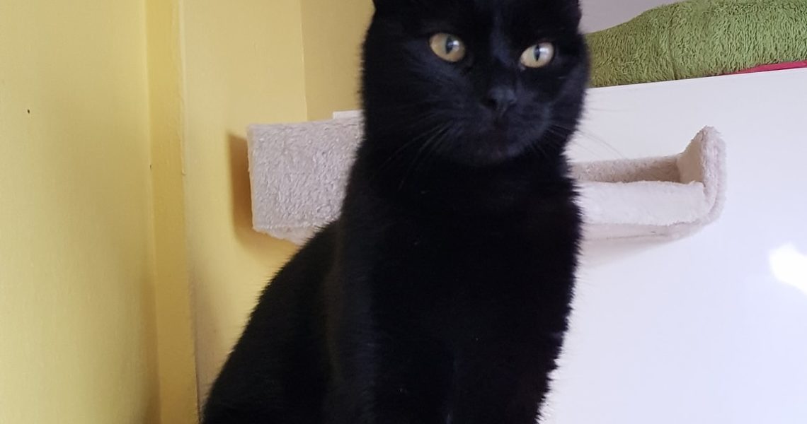 ELEONORKA UŽ VYHLÍŽÍ SVOJÍ NOVOU "MAMINKU", KTERÁ SI PRO NI ...