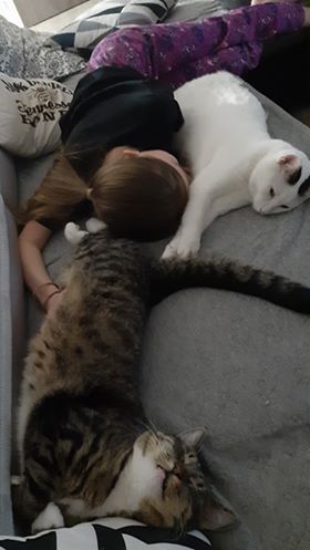 ERVÍNEK A IVISEK ( Oliver)...