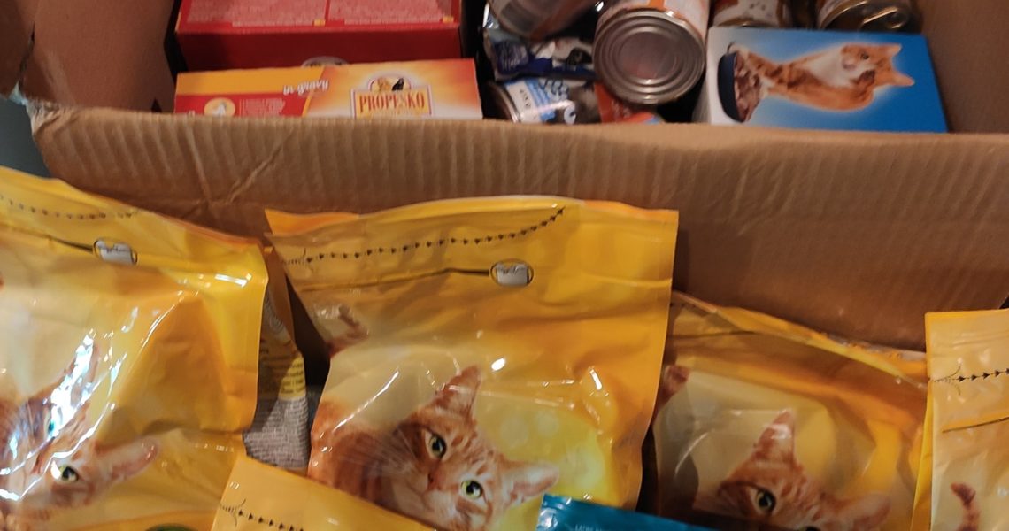 SLUNÍČKOVÉ KOČIČKY DĚKUJÍ OD GLOBUS ZA CHUTNÉ DÁRKY...