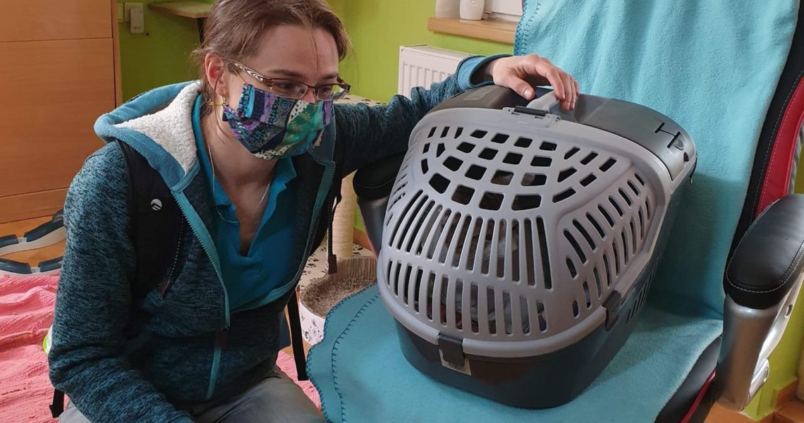 NÁŠ MILOVANÝ KOCOUREK TOPÍČEK NAŠEL DOMOV, SNAD BUDE DĚLAT J...